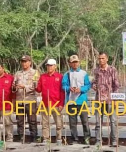 Tanam Cabai Berkualitas, BUMDes Kelebuk Tampil sebagai Penggerak Pangan Daerah