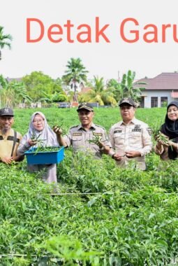 Dongkrak Ekonomi Desa, BUMDes Pasiran Panen 1,5 Ton Cabai Bersama Wabup Bagus Santoso