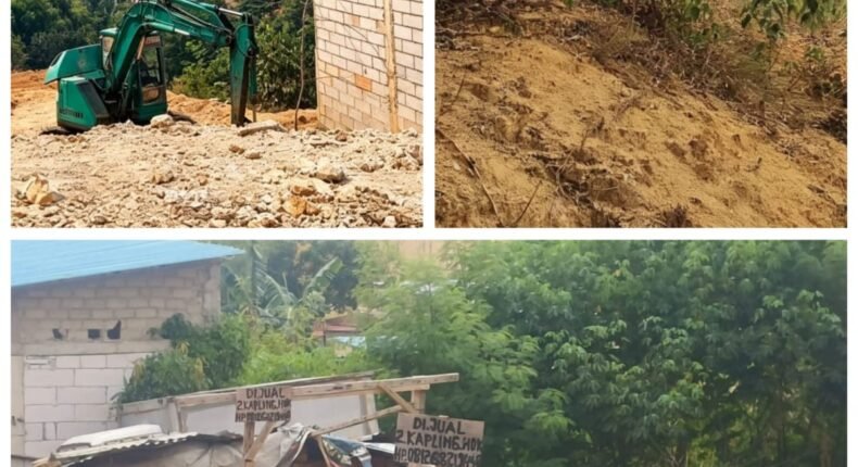 foto slider headline